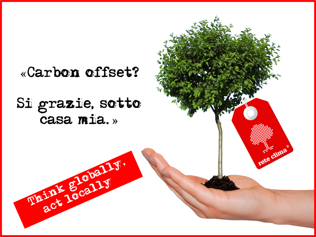 carbon_sink_carbon_offset