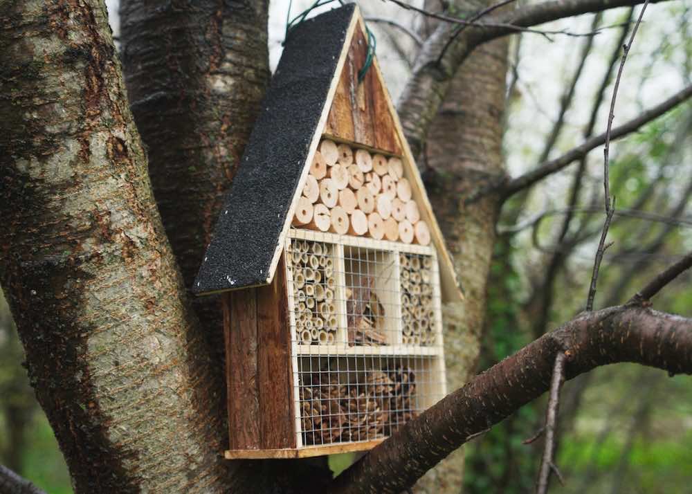 Biodiversity Lab con installazioni ecosistemiche