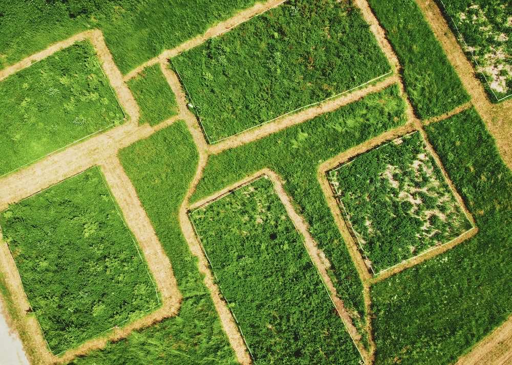 Intervento BioForest per la tutela della biodiversità
