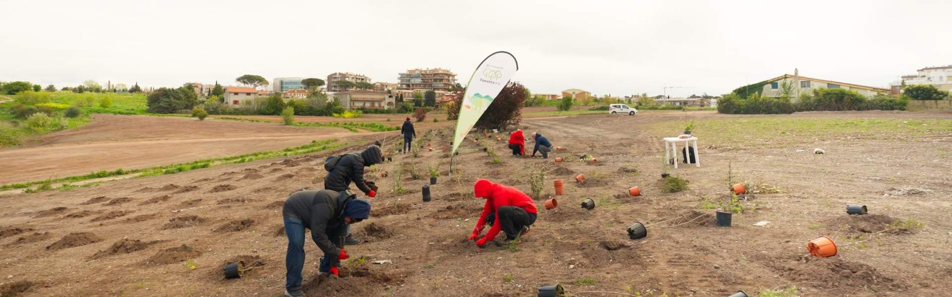 Agenzia delle Entrate e Riscossione: forestazione urbana a Roma