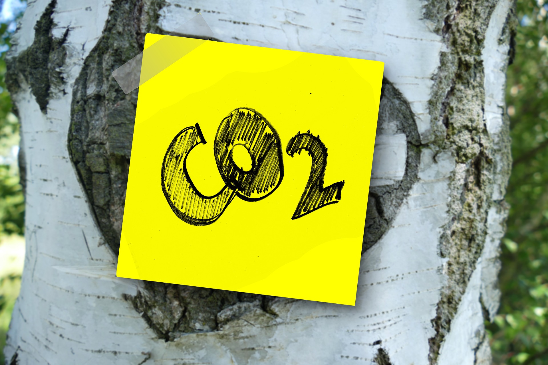 greenwashing