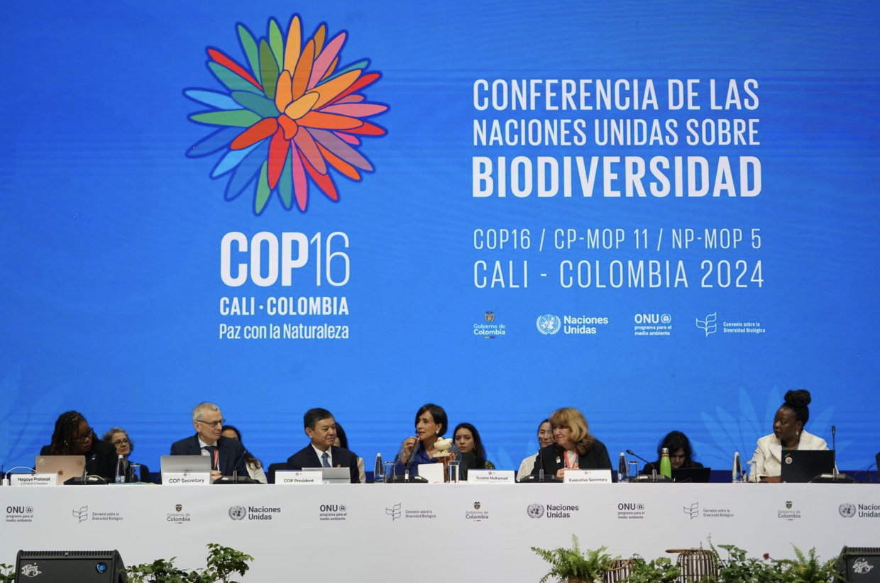 cop 16