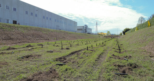 Cittadella (PD)