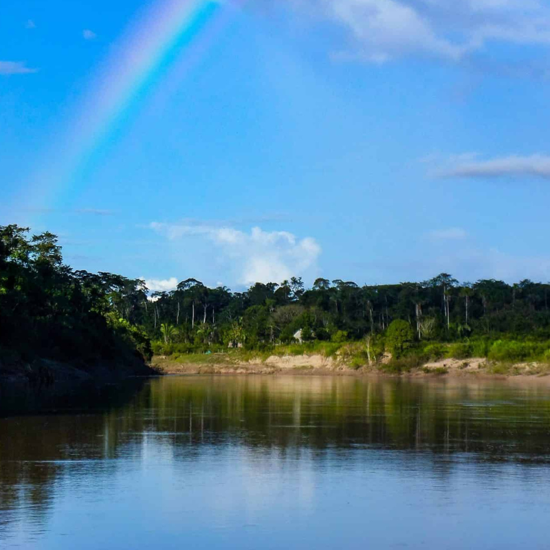 TIM: carbon neutrality dei siti web del Gruppo TIM (anno 2023)