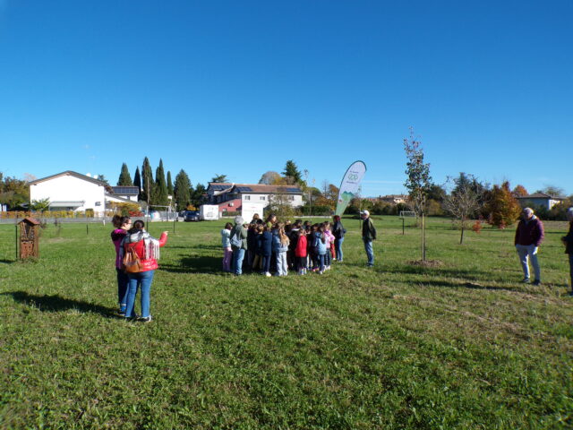 Fiumicello Villa Vicentina (UD)