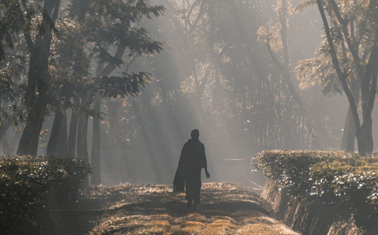 Forest bathing: una opportunità per i Territori e per le Aziende