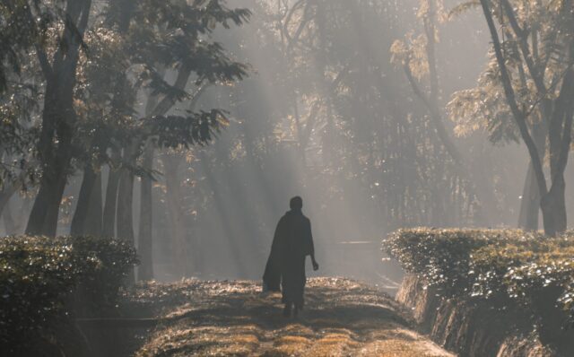 Forest bathing: una opportunità per i Territori e per le Aziende
