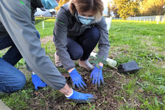 kilometroverde Lucca