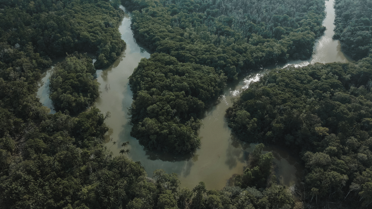 Belém e l’anno zero del clima: cosa resta della COP30 e la nuova geografia della transizione