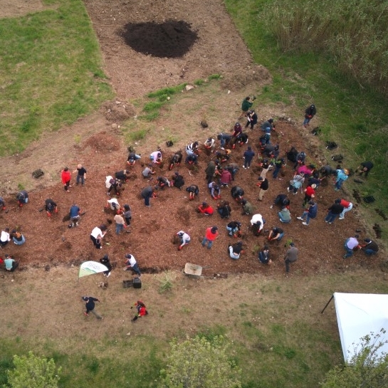 Fondazione Lavazza: BioForest a Torino
