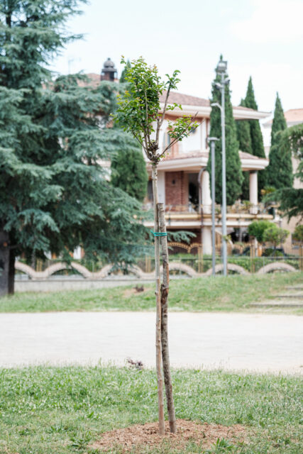 Montalto Uffugo (CS)