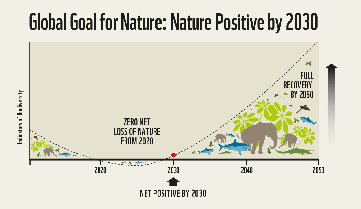 nature positive
