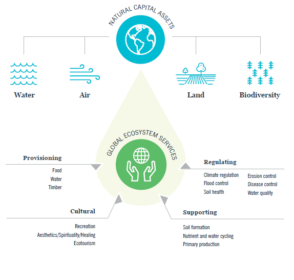 Investimenti foreste e terreni agricoli