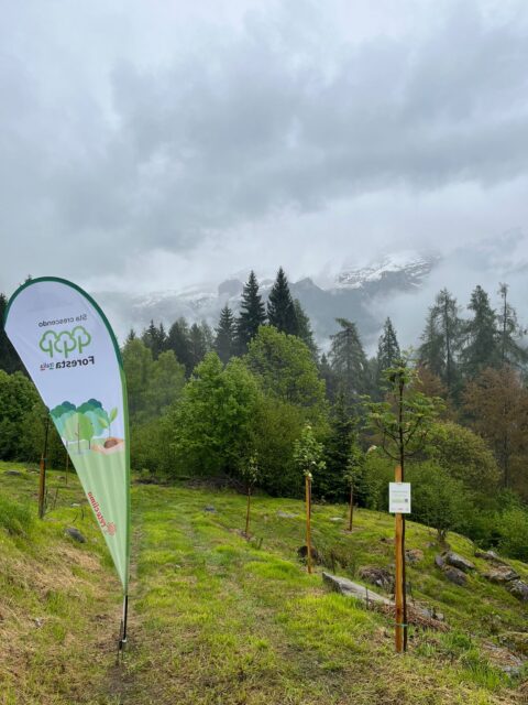 Pinzolo(TN)