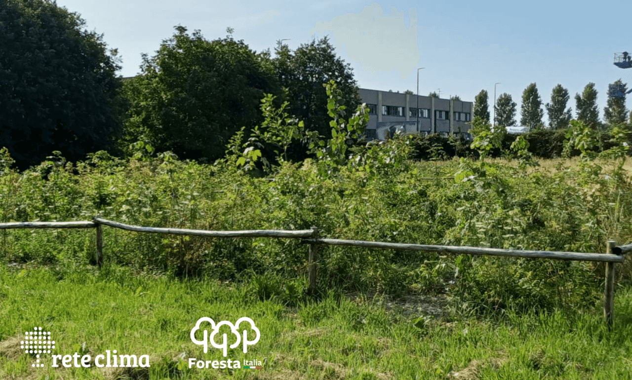 Nature Positive Strategy