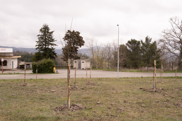 Roccalbegna (GR)