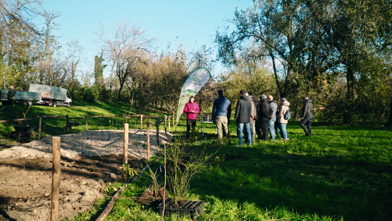 EN 18140 NbS Nature based Solutions