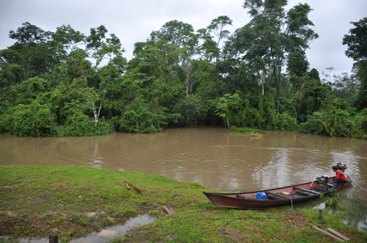 Plan Vivo: carbon credits da progetti nature-based, ad alto impatto sociale e territoriale