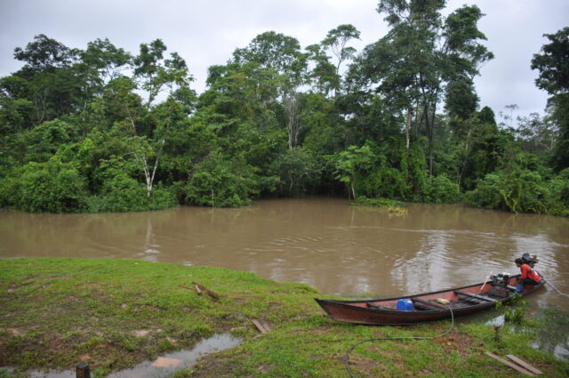 Plan Vivo: carbon credits da progetti nature-based, ad alto impatto sociale e territoriale