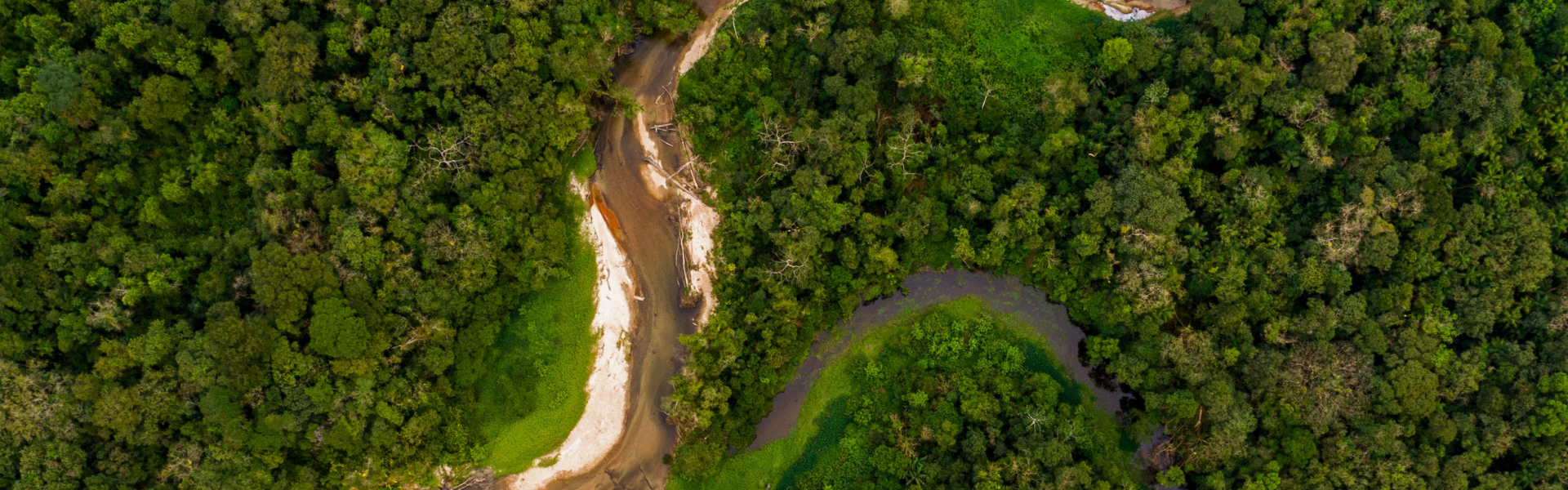 TIM: carbon neutrality of Gruppo TIM websites (2024)