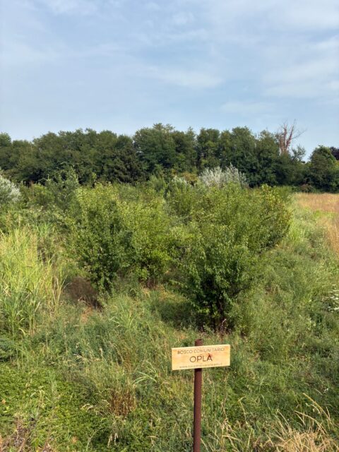 Vimercate (MB)