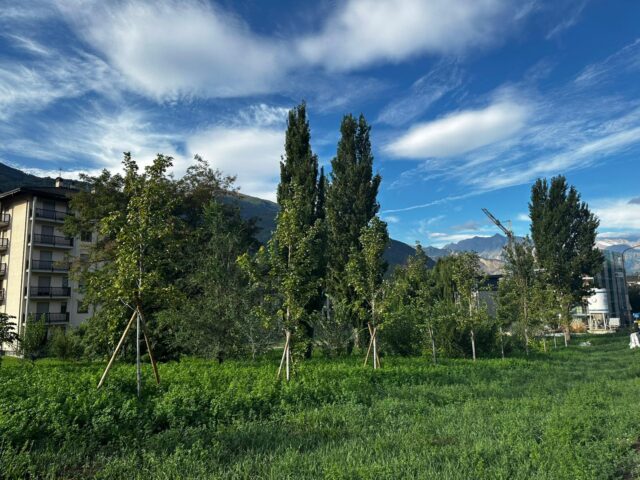 Aosta (AO)