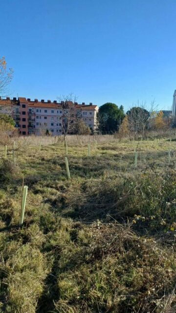 Campobasso (CB)