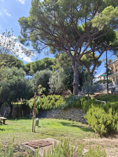 Alassio (SV)