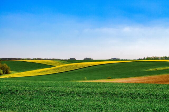 Il nuovo standard GHG Protocol Land Sector and Removals: implicazioni tecniche e allineamento con IFRS