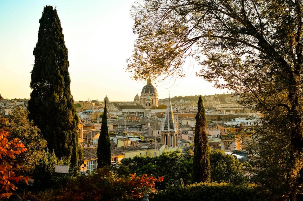 alberi-città