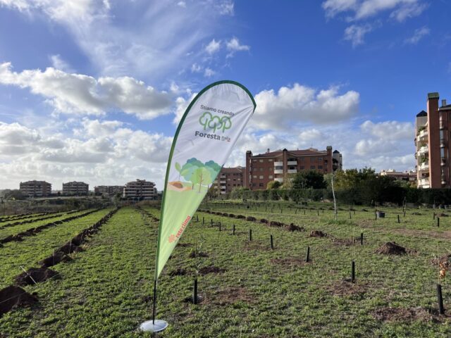 Forestazione urbana: alberi a Roma