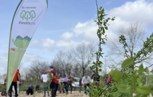 BioForest<sup>®</sup>: soluzioni ESG orientate alla tutela e miglioramento della biodiversità locale