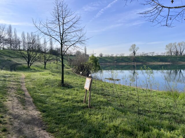 Brugherio (MB)