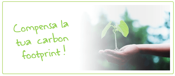 compensazione CO2