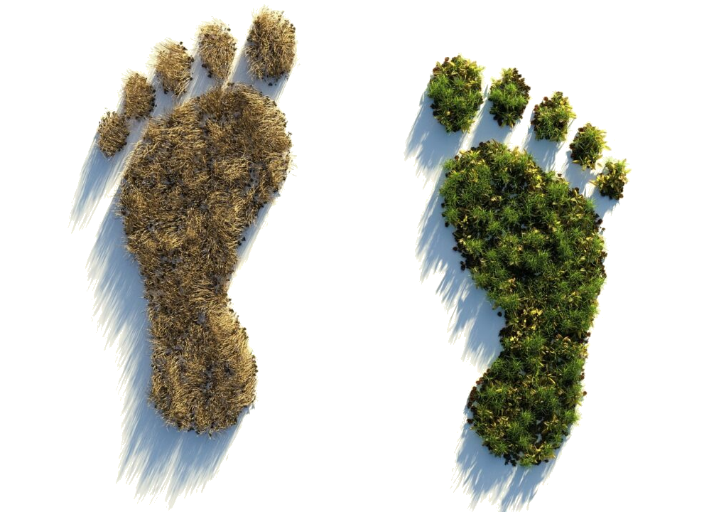 GHG Protocol - ISO 14064-1