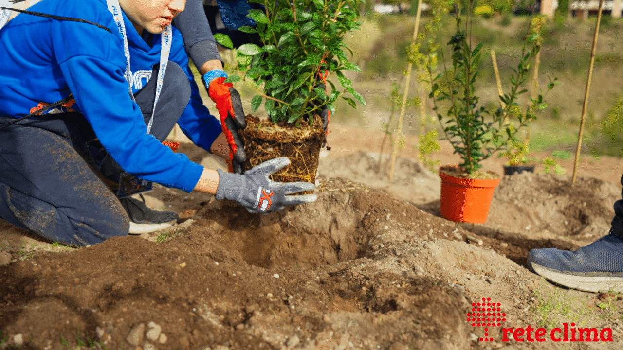 radici di futuro educazione ambientale forestale