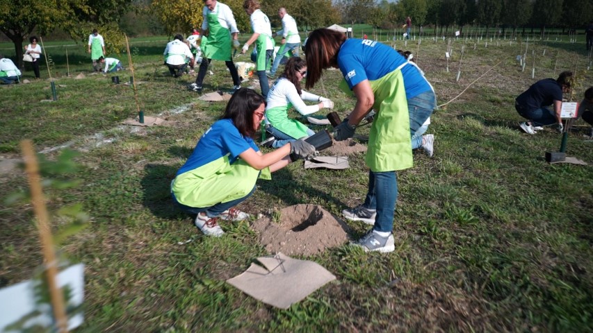 compensazione-CO2-emissioni-zero