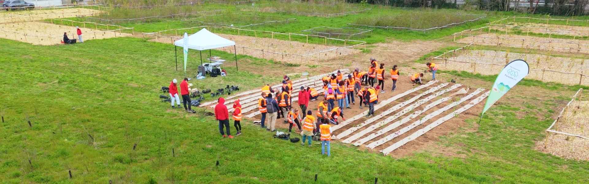 Gruppo Il Sole24ORE: Green Team Building e biodiversità urbana