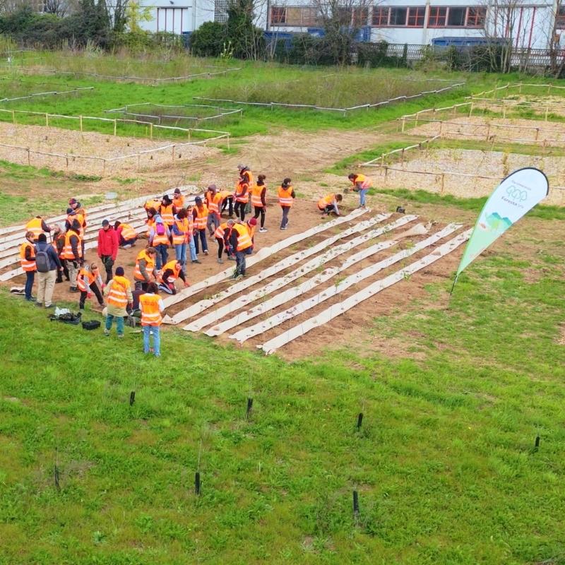 Gruppo Il Sole24ORE: Green Team Building e biodiversità urbana