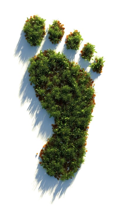 carbon neutrality ISO 14068-1