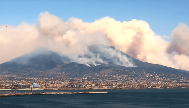 Parco Nazionale del Vesuvio (NA): forestazione planiziale o ripristino aree danneggiate dagli incendi