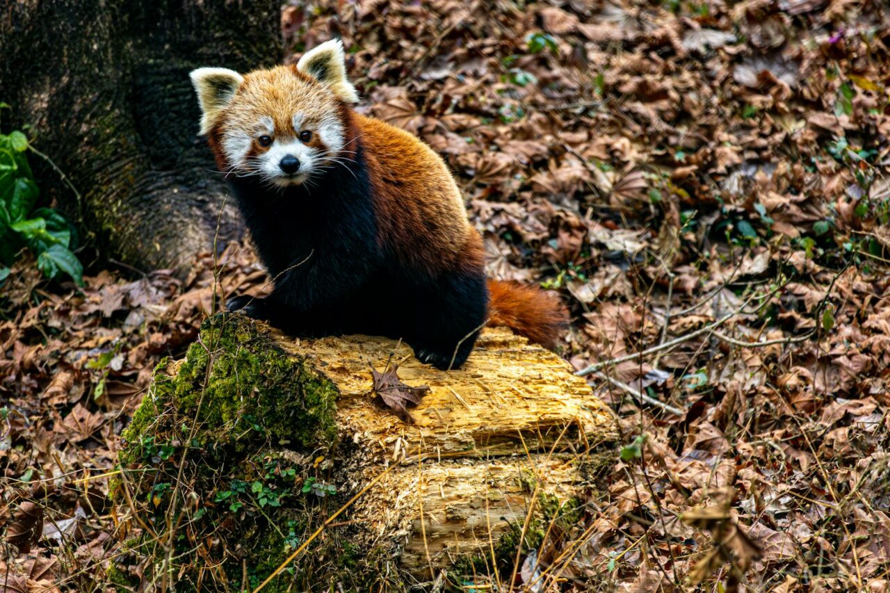 valore servizi ecosistemici valore natura