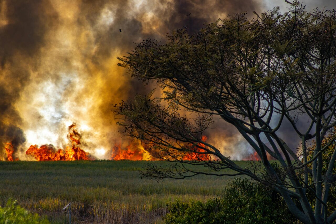 catastrofi naturali 2025 assicurazioni