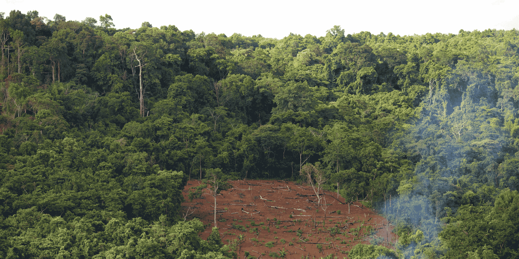 generazione carbon credits crediti di carbonio