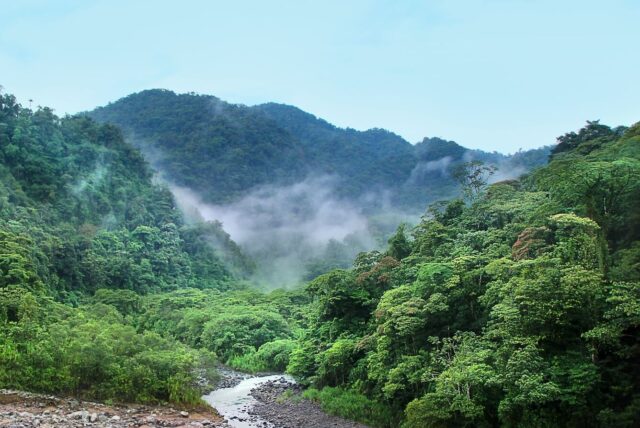 Rating dei crediti di carbonio: per compensare CO2 tramite selezione di progetti di alta qualità e solidità