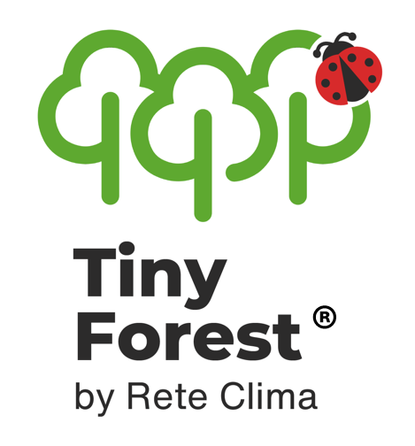 iny-forest-milano-roma-torino-italia